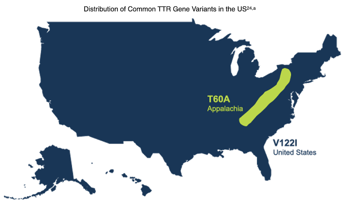 Common TTR Gene Variants